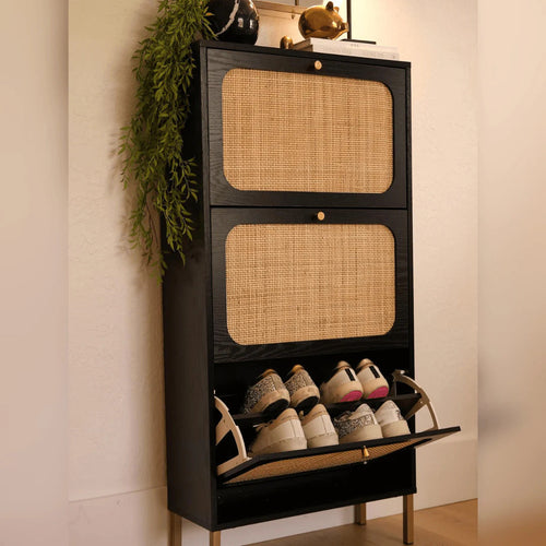 Premium AMA 3-Door Shoe Cabinet