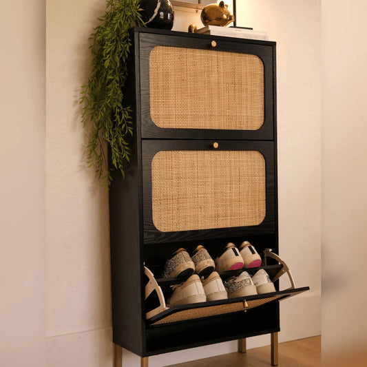 Premium AMA 3-Door Shoe Cabinet